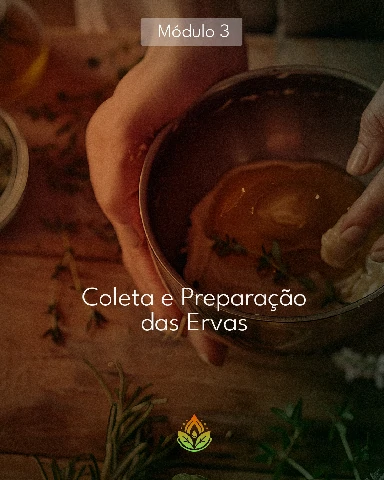 Módulo 3